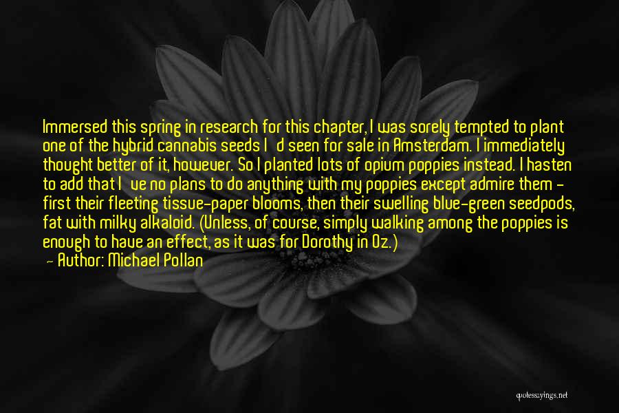 Michael Pollan Quotes: Immersed This Spring In Research For This Chapter, I Was Sorely Tempted To Plant One Of The Hybrid Cannabis Seeds