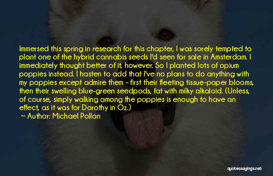 Michael Pollan Quotes: Immersed This Spring In Research For This Chapter, I Was Sorely Tempted To Plant One Of The Hybrid Cannabis Seeds