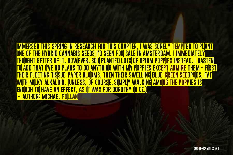 Michael Pollan Quotes: Immersed This Spring In Research For This Chapter, I Was Sorely Tempted To Plant One Of The Hybrid Cannabis Seeds