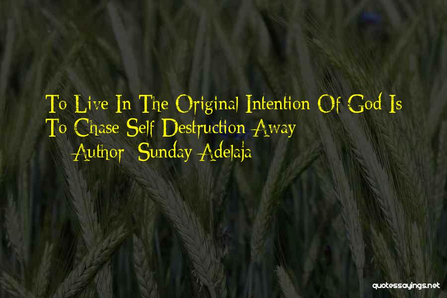 Sunday Adelaja Quotes: To Live In The Original Intention Of God Is To Chase Self Destruction Away