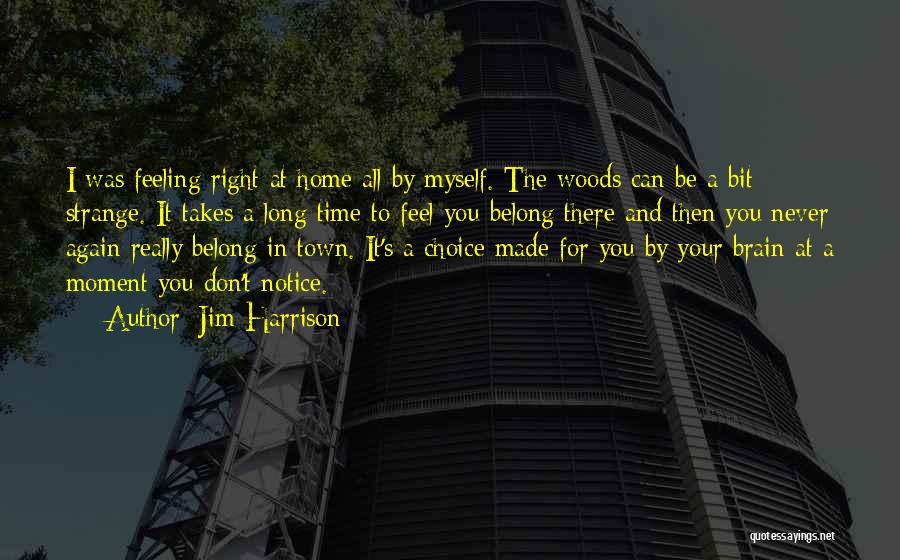Jim Harrison Quotes: I Was Feeling Right At Home All By Myself. The Woods Can Be A Bit Strange. It Takes A Long