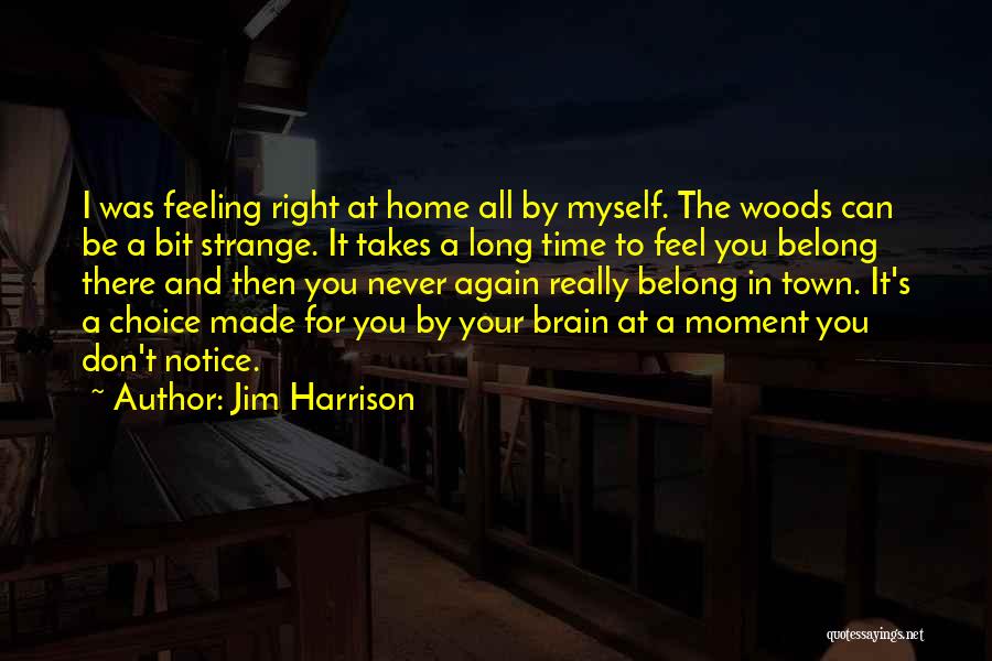 Jim Harrison Quotes: I Was Feeling Right At Home All By Myself. The Woods Can Be A Bit Strange. It Takes A Long