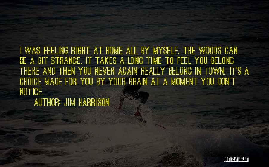 Jim Harrison Quotes: I Was Feeling Right At Home All By Myself. The Woods Can Be A Bit Strange. It Takes A Long