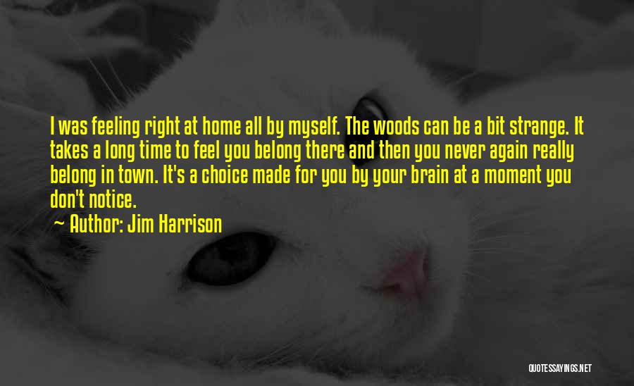Jim Harrison Quotes: I Was Feeling Right At Home All By Myself. The Woods Can Be A Bit Strange. It Takes A Long