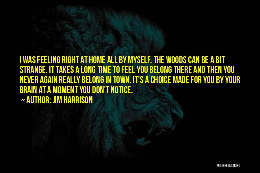 Jim Harrison Quotes: I Was Feeling Right At Home All By Myself. The Woods Can Be A Bit Strange. It Takes A Long