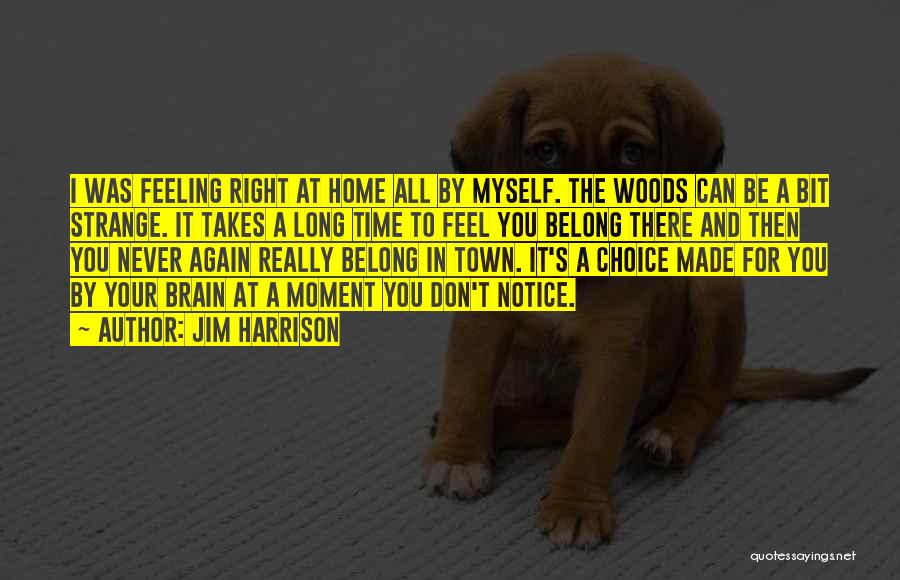 Jim Harrison Quotes: I Was Feeling Right At Home All By Myself. The Woods Can Be A Bit Strange. It Takes A Long