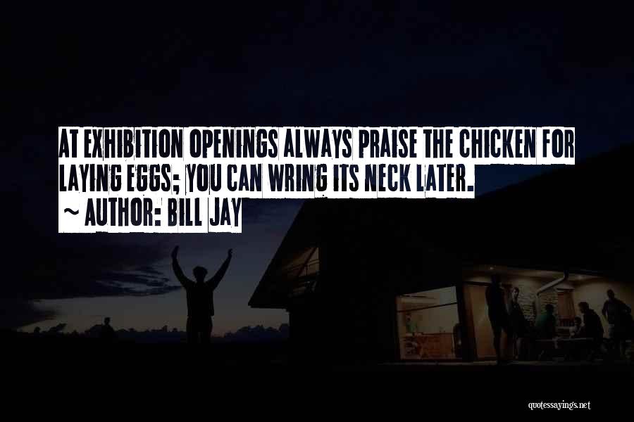 Bill Jay Quotes: At Exhibition Openings Always Praise The Chicken For Laying Eggs; You Can Wring Its Neck Later.