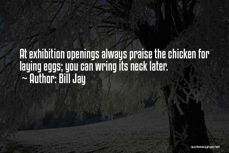Bill Jay Quotes: At Exhibition Openings Always Praise The Chicken For Laying Eggs; You Can Wring Its Neck Later.