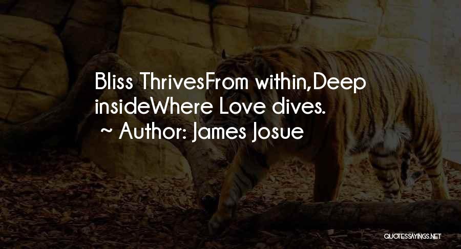 James Josue Quotes: Bliss Thrivesfrom Within,deep Insidewhere Love Dives.