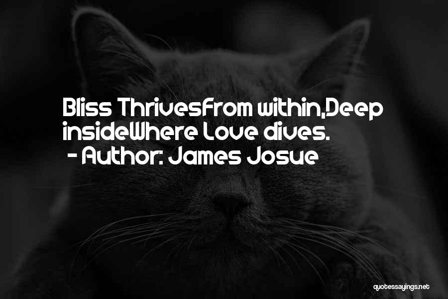 James Josue Quotes: Bliss Thrivesfrom Within,deep Insidewhere Love Dives.