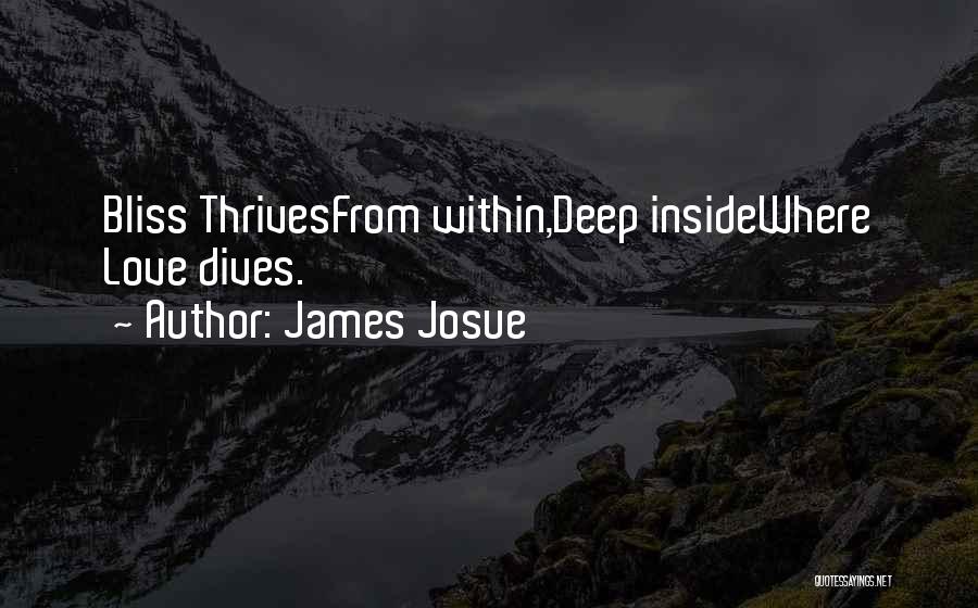 James Josue Quotes: Bliss Thrivesfrom Within,deep Insidewhere Love Dives.