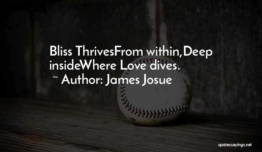 James Josue Quotes: Bliss Thrivesfrom Within,deep Insidewhere Love Dives.