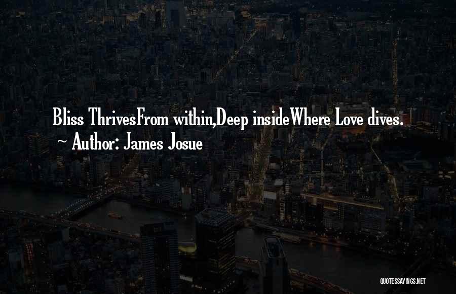 James Josue Quotes: Bliss Thrivesfrom Within,deep Insidewhere Love Dives.