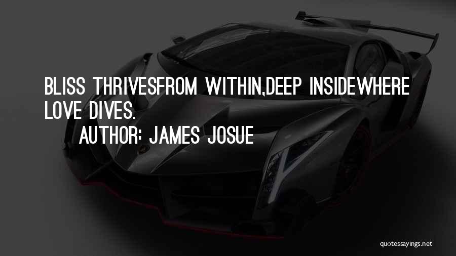 James Josue Quotes: Bliss Thrivesfrom Within,deep Insidewhere Love Dives.