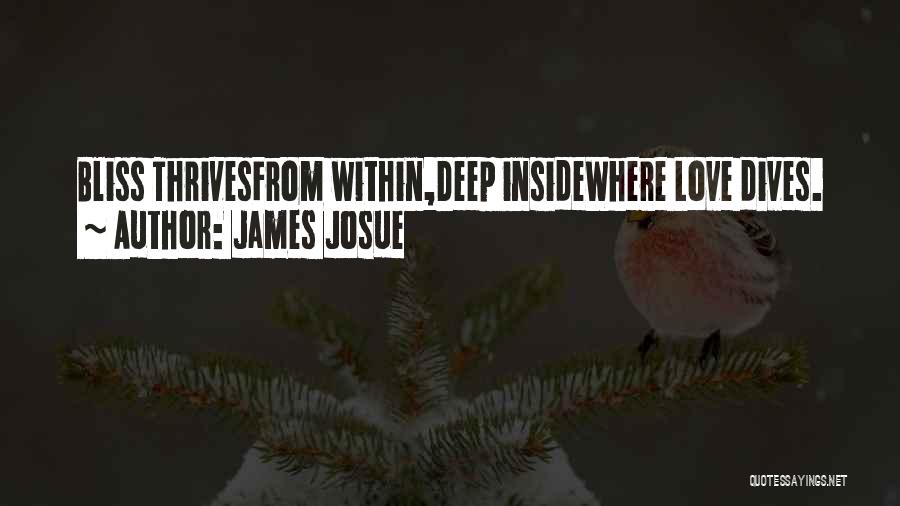 James Josue Quotes: Bliss Thrivesfrom Within,deep Insidewhere Love Dives.