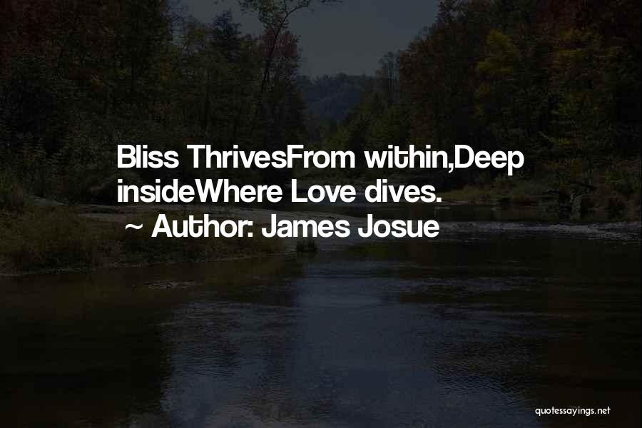James Josue Quotes: Bliss Thrivesfrom Within,deep Insidewhere Love Dives.
