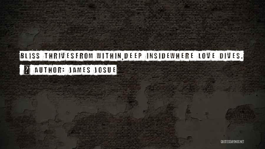 James Josue Quotes: Bliss Thrivesfrom Within,deep Insidewhere Love Dives.
