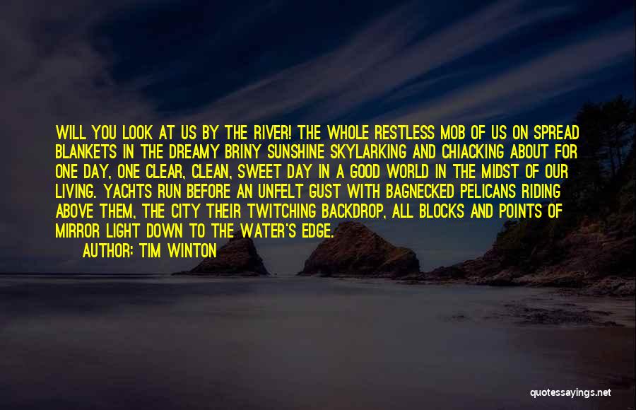 Tim Winton Quotes: Will You Look At Us By The River! The Whole Restless Mob Of Us On Spread Blankets In The Dreamy