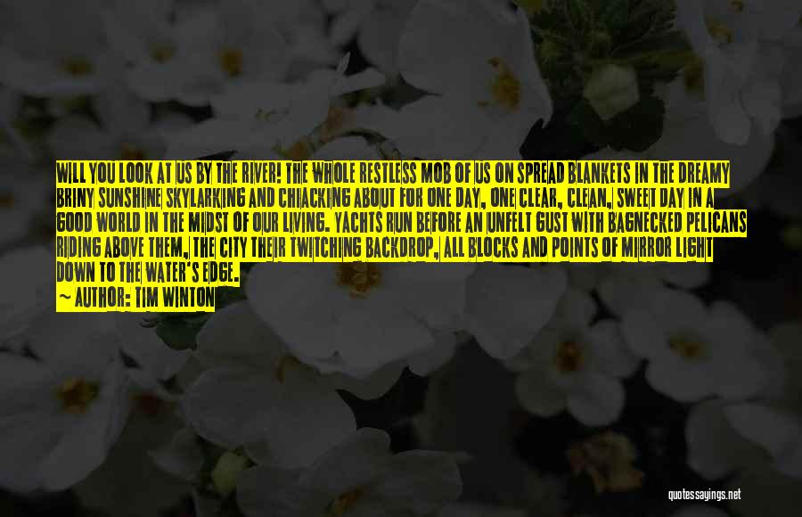 Tim Winton Quotes: Will You Look At Us By The River! The Whole Restless Mob Of Us On Spread Blankets In The Dreamy