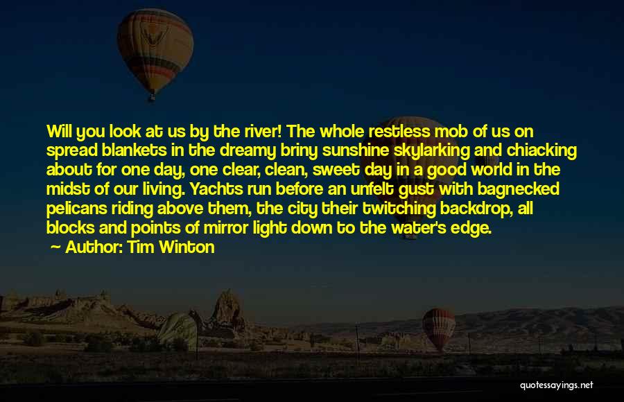 Tim Winton Quotes: Will You Look At Us By The River! The Whole Restless Mob Of Us On Spread Blankets In The Dreamy