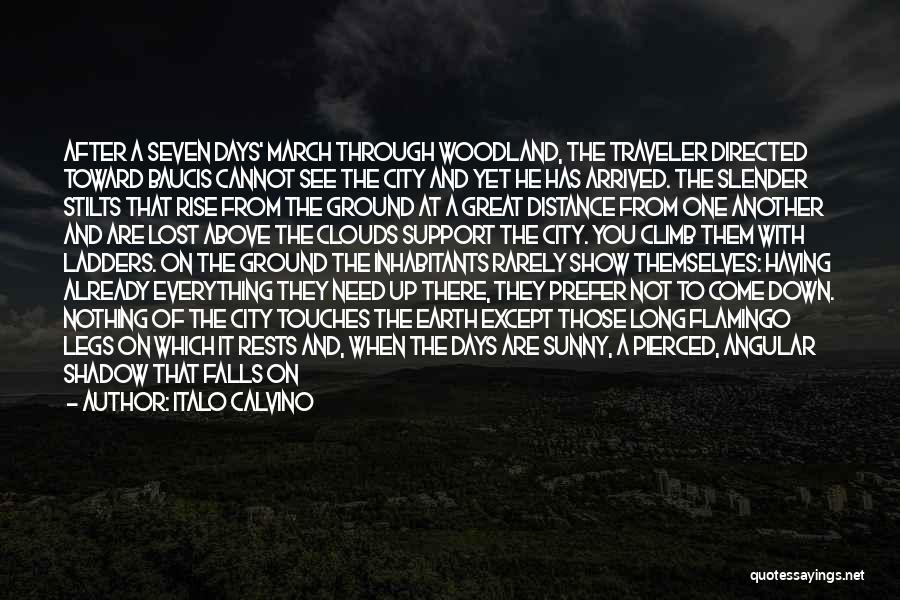 Italo Calvino Quotes: After A Seven Days' March Through Woodland, The Traveler Directed Toward Baucis Cannot See The City And Yet He Has