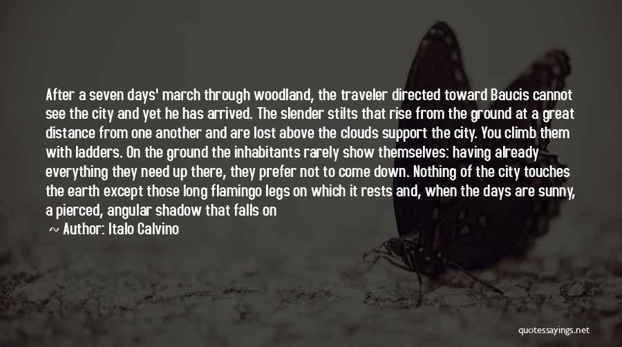 Italo Calvino Quotes: After A Seven Days' March Through Woodland, The Traveler Directed Toward Baucis Cannot See The City And Yet He Has