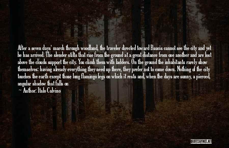 Italo Calvino Quotes: After A Seven Days' March Through Woodland, The Traveler Directed Toward Baucis Cannot See The City And Yet He Has