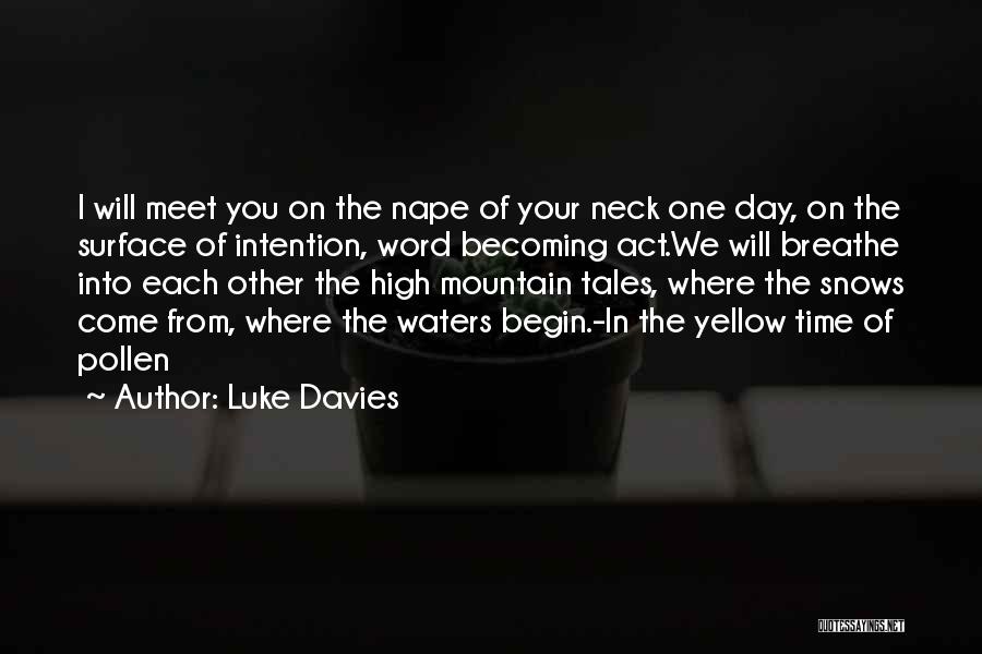 Luke Davies Quotes: I Will Meet You On The Nape Of Your Neck One Day, On The Surface Of Intention, Word Becoming Act.we