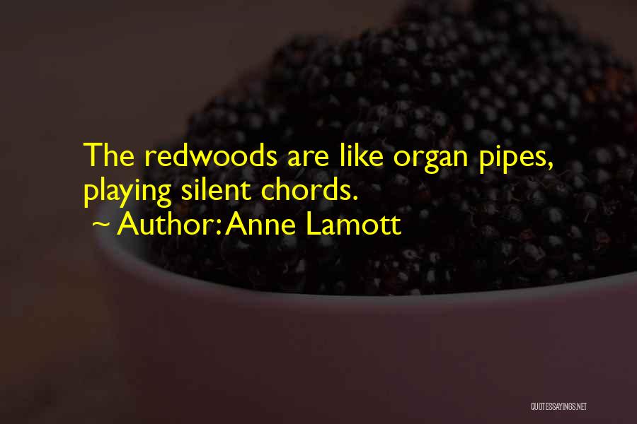 Anne Lamott Quotes: The Redwoods Are Like Organ Pipes, Playing Silent Chords.