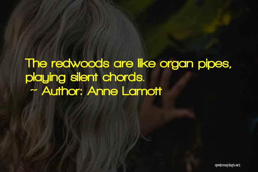 Anne Lamott Quotes: The Redwoods Are Like Organ Pipes, Playing Silent Chords.