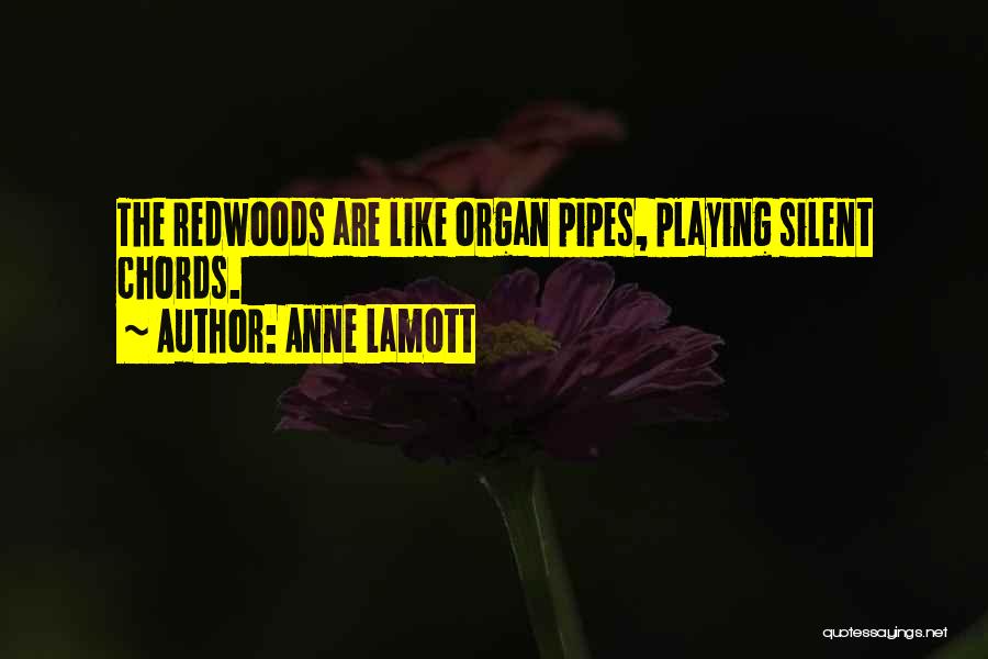 Anne Lamott Quotes: The Redwoods Are Like Organ Pipes, Playing Silent Chords.