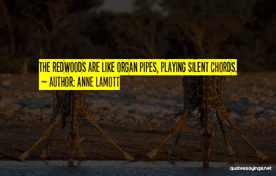 Anne Lamott Quotes: The Redwoods Are Like Organ Pipes, Playing Silent Chords.