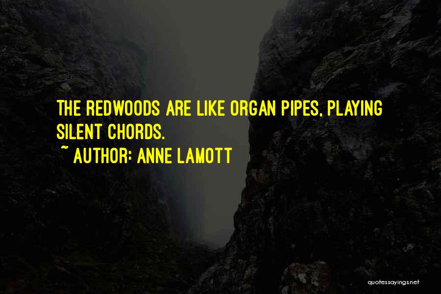 Anne Lamott Quotes: The Redwoods Are Like Organ Pipes, Playing Silent Chords.