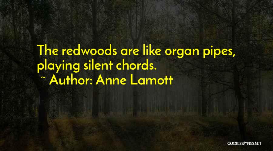 Anne Lamott Quotes: The Redwoods Are Like Organ Pipes, Playing Silent Chords.