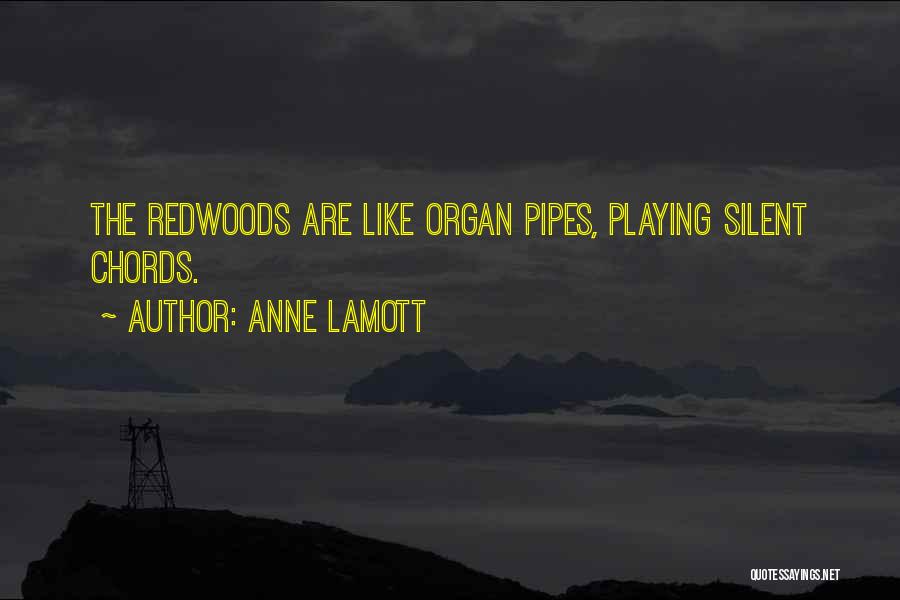 Anne Lamott Quotes: The Redwoods Are Like Organ Pipes, Playing Silent Chords.