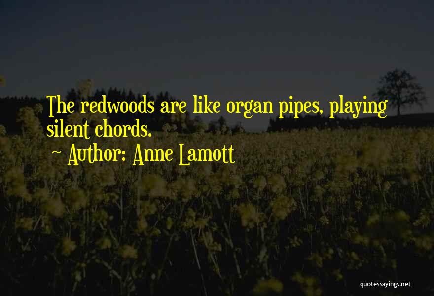 Anne Lamott Quotes: The Redwoods Are Like Organ Pipes, Playing Silent Chords.