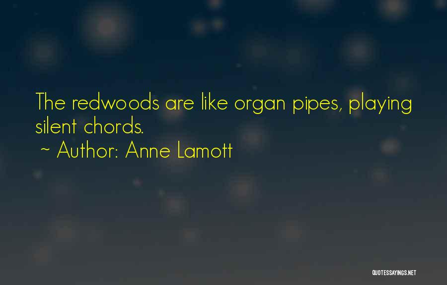 Anne Lamott Quotes: The Redwoods Are Like Organ Pipes, Playing Silent Chords.