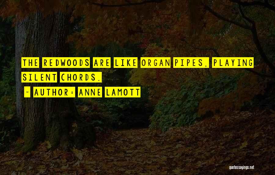 Anne Lamott Quotes: The Redwoods Are Like Organ Pipes, Playing Silent Chords.