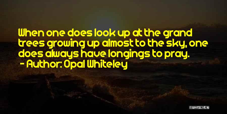 Opal Whiteley Quotes: When One Does Look Up At The Grand Trees Growing Up Almost To The Sky, One Does Always Have Longings