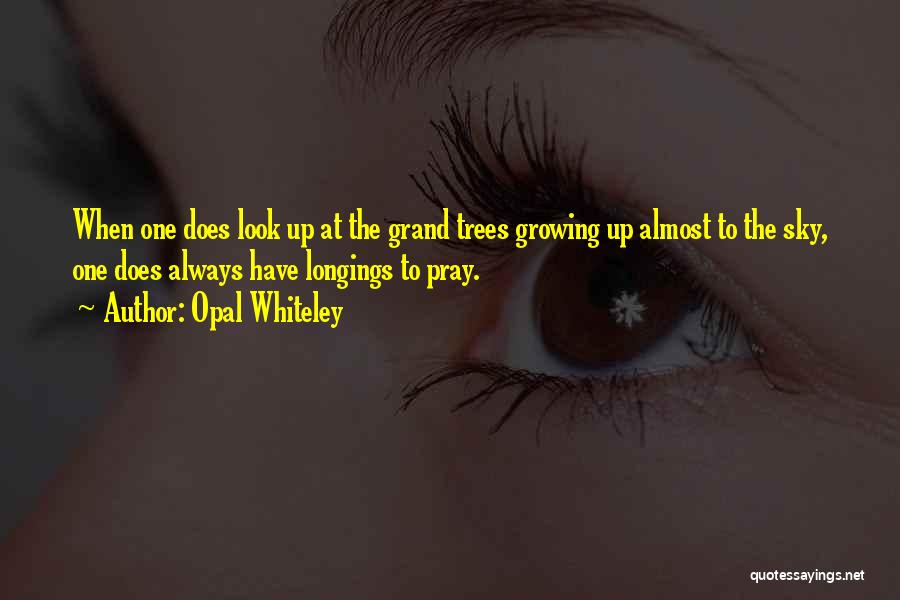 Opal Whiteley Quotes: When One Does Look Up At The Grand Trees Growing Up Almost To The Sky, One Does Always Have Longings