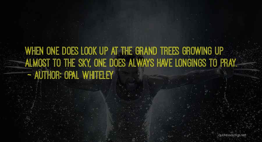 Opal Whiteley Quotes: When One Does Look Up At The Grand Trees Growing Up Almost To The Sky, One Does Always Have Longings