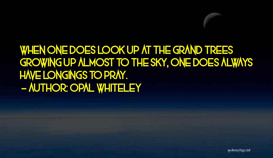 Opal Whiteley Quotes: When One Does Look Up At The Grand Trees Growing Up Almost To The Sky, One Does Always Have Longings