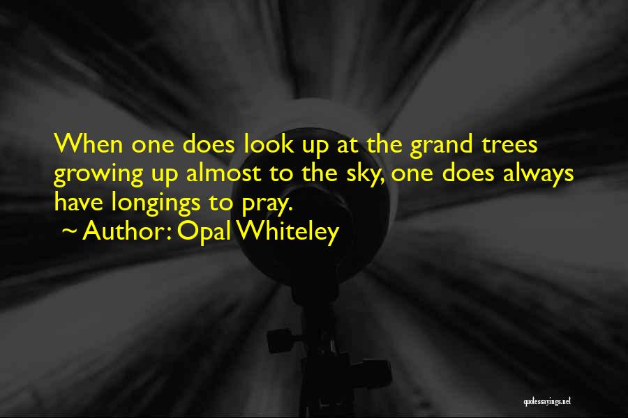 Opal Whiteley Quotes: When One Does Look Up At The Grand Trees Growing Up Almost To The Sky, One Does Always Have Longings