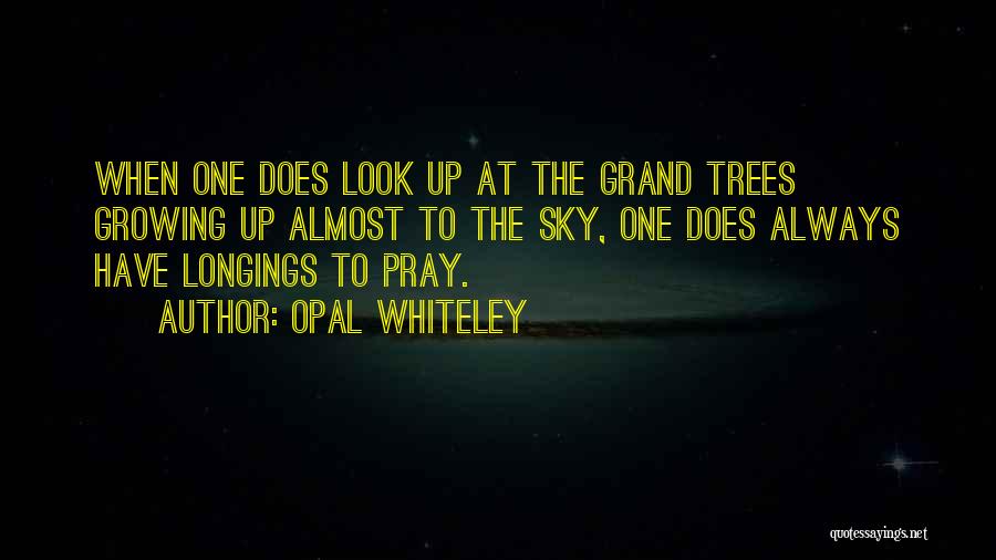 Opal Whiteley Quotes: When One Does Look Up At The Grand Trees Growing Up Almost To The Sky, One Does Always Have Longings