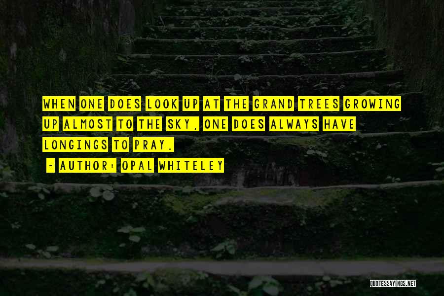 Opal Whiteley Quotes: When One Does Look Up At The Grand Trees Growing Up Almost To The Sky, One Does Always Have Longings