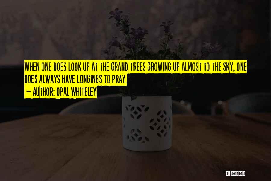 Opal Whiteley Quotes: When One Does Look Up At The Grand Trees Growing Up Almost To The Sky, One Does Always Have Longings