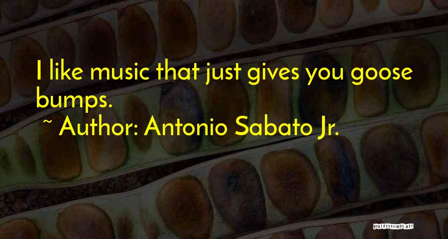 Antonio Sabato Jr. Quotes: I Like Music That Just Gives You Goose Bumps.