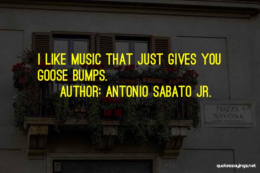 Antonio Sabato Jr. Quotes: I Like Music That Just Gives You Goose Bumps.