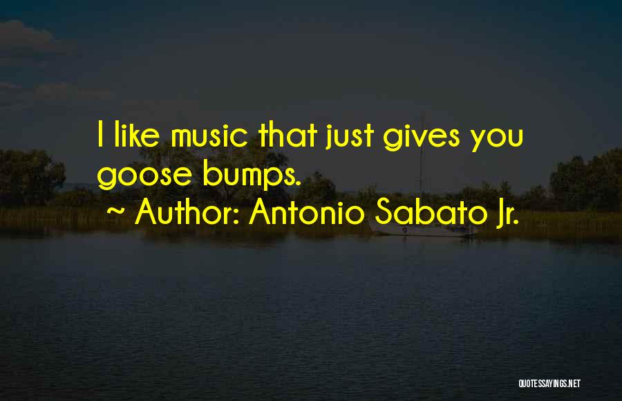 Antonio Sabato Jr. Quotes: I Like Music That Just Gives You Goose Bumps.