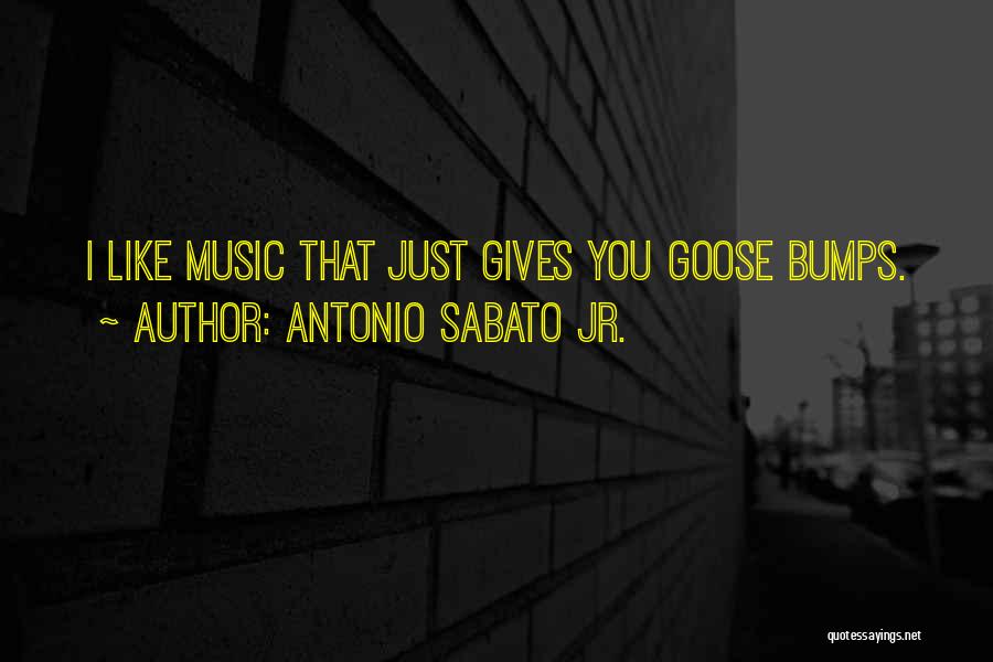 Antonio Sabato Jr. Quotes: I Like Music That Just Gives You Goose Bumps.